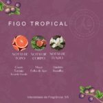 FIGO TROPICAL