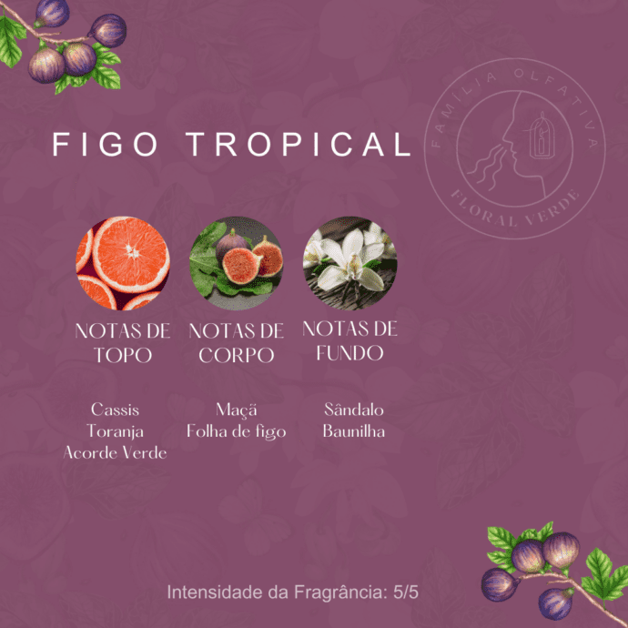FIGO TROPICAL