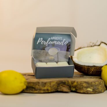 Wax Melts 60g Orla di Coco