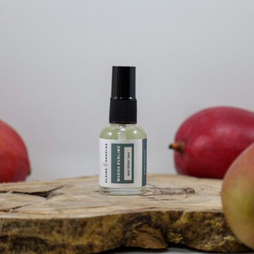 Mini Spray Aromatizador de Ambientes 30ml – Manga Sublime