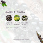 JABUTICABA