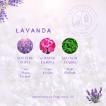 LAVANDA