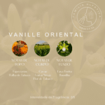 VANILLE ORIENTAL